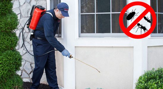 Oğuzlar Hamam Böceği İlaçlama böcek ilaçlama ve haşere kontrolü — ilaclama-tr.com